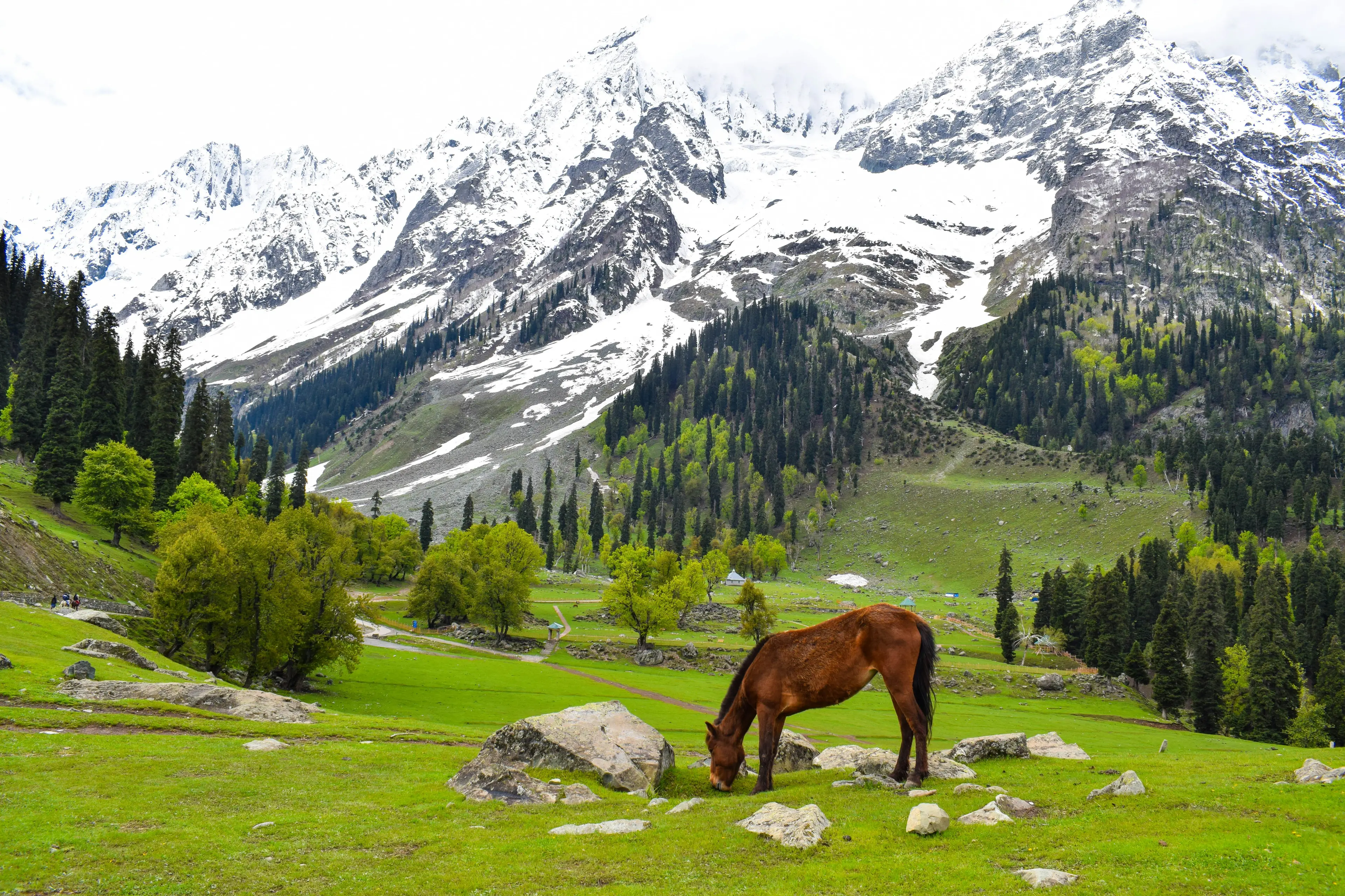 Sonmarg travel photo